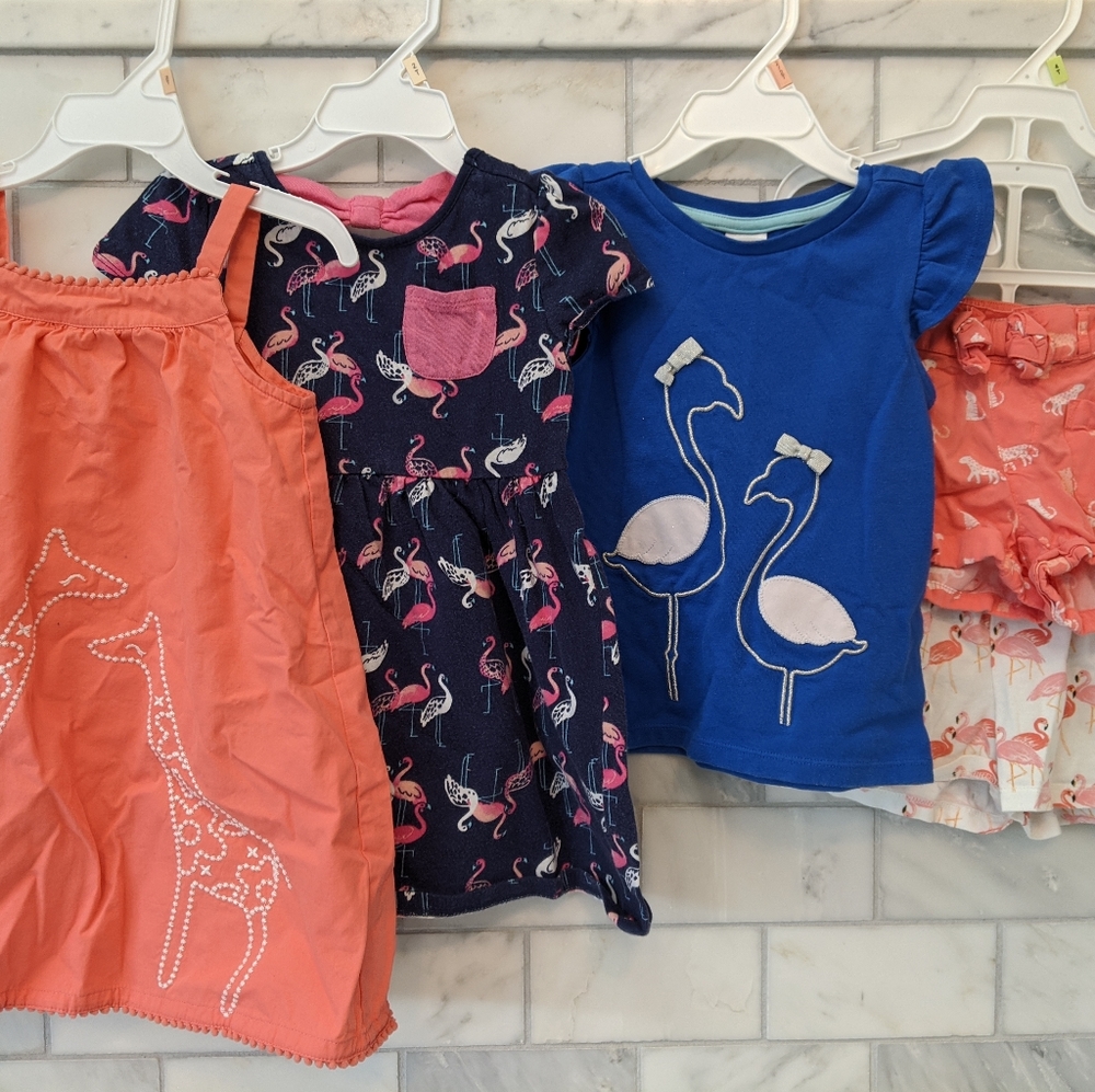 WILD ABOUT YOU size 2T Gymboree girls clothes